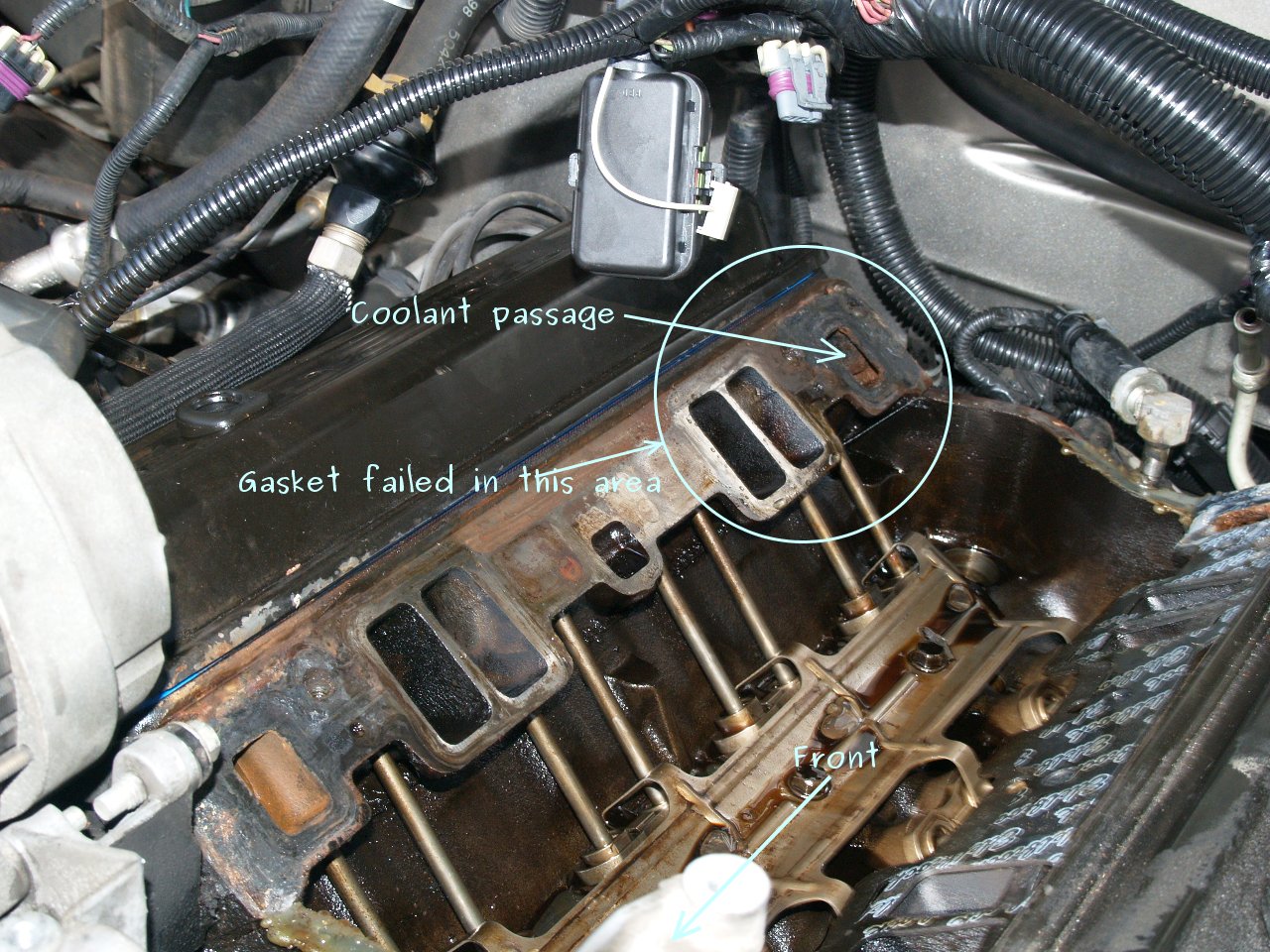 See P0445 in engine